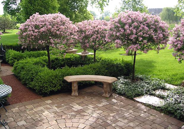 landscaping-gardens-001