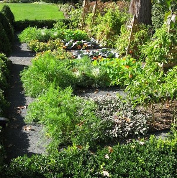 Schmechtig Landscapes Vegetable Garden Design in Winnetka, Illinois.