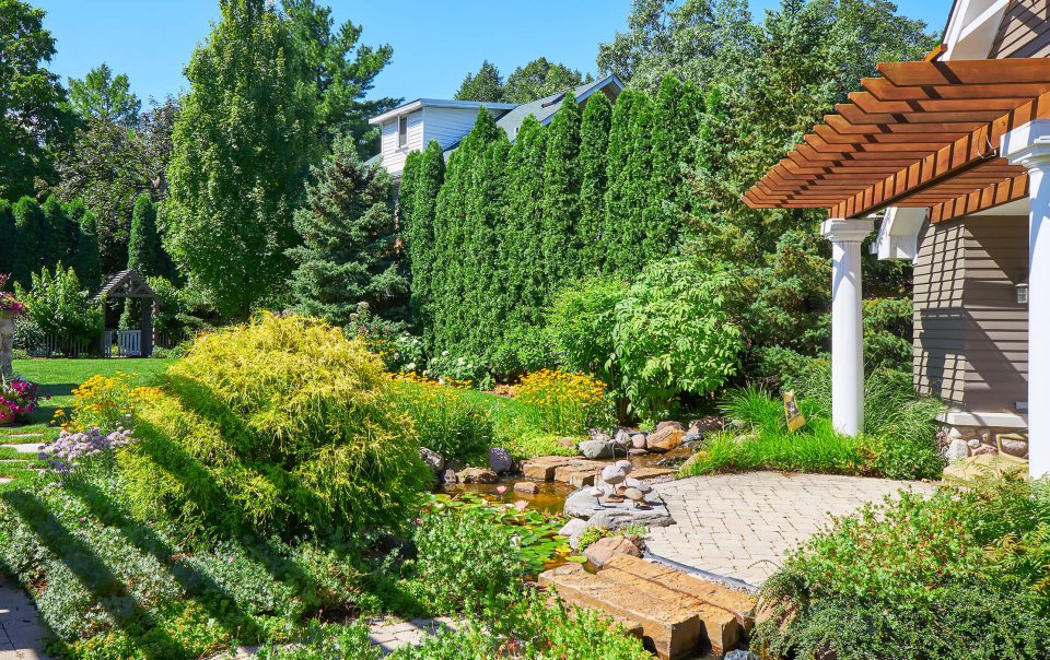 Lush backyard oasis