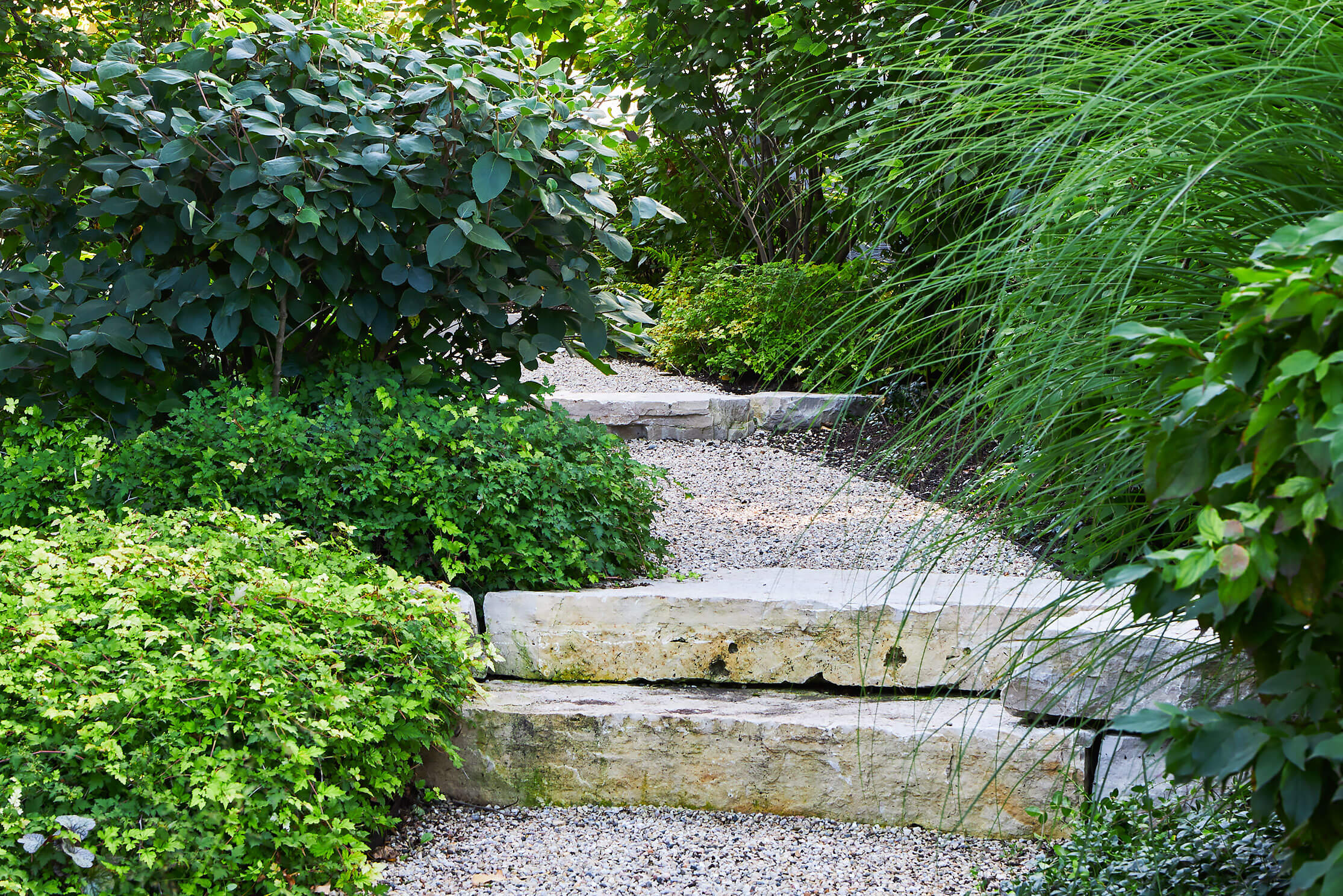 Garden pathway on hill