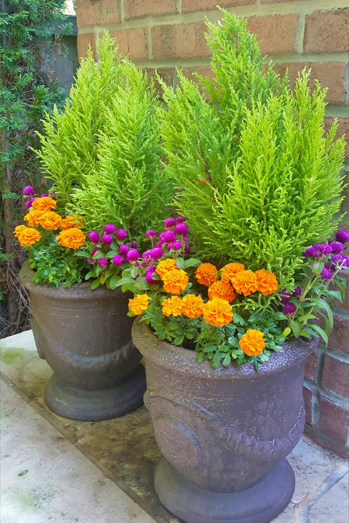 bright-flower-pots