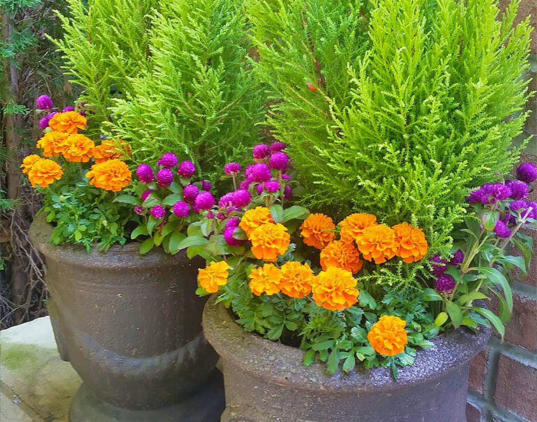 bright-flower-pots