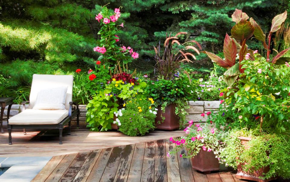 flower-gardens-on-pool-deck